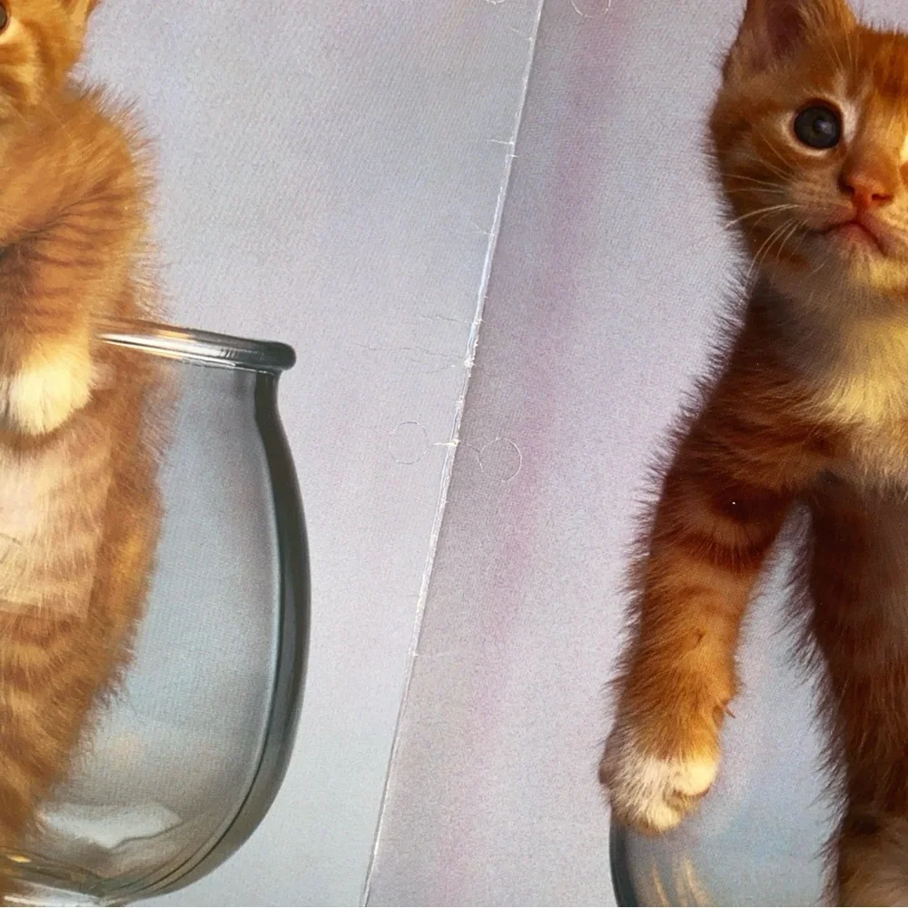 Vintage G.K. & Vikki Hart Photography Mead Portfolio Folder Cat Purrs & Grrrs 2‎